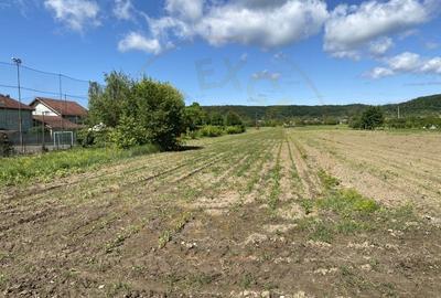 Teren intravilan 7.295 mp - Argeselu, Maracineni, AG - 2
