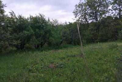 65000euro!!Bucium!Teren intravilan 1500mp,asfalt! - 4