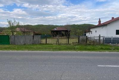 Teren Construcții intravilan de 1550 mp, în Coțofenești - 3
