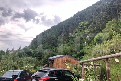 De vanzare teren intravilan in zona Schei (+cabana) - 7