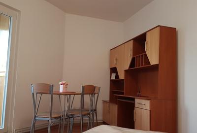 Garsonieră renovată de închiriat – Bulevardul Mihai Viteazul, Sibiu - 7