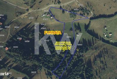 Teren de 18044 mp, în Dâmbovicioara - 7