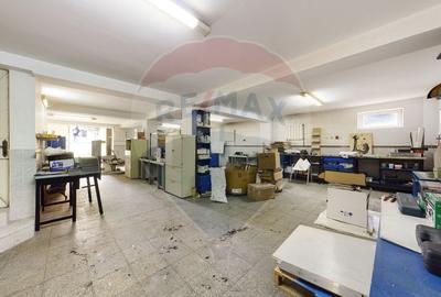 Casa / Vila cu 21 camere de vanzare in zona Alexandriei - 24