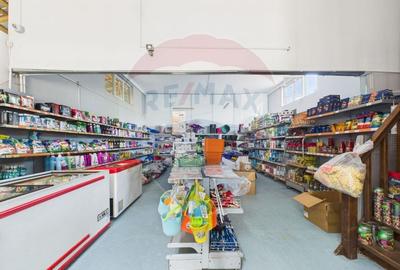 Hala, teren 5000 mp si casa in Potlogi- 38 km pana in Bucuresti - 4