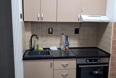 Apartament cu 2 camere în Șega - 11