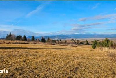 Teren de 9723 mp, în Gălăuțaș - 4