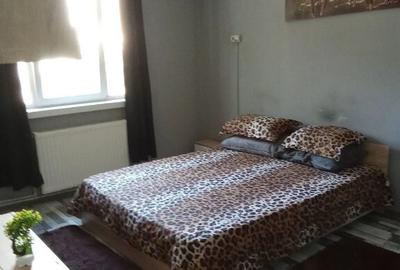 Garsonieră decomandată în Spitalul Județean - 2