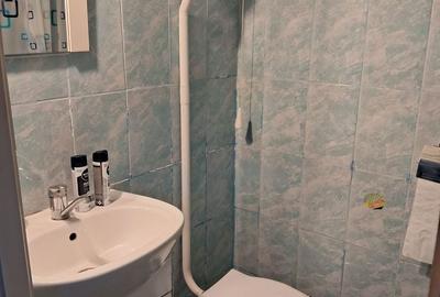 Apartament cu 3 camere în Iosefin - 9