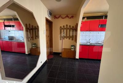 Apartament cu 2 camere semidecomandat în Gojdu - 11