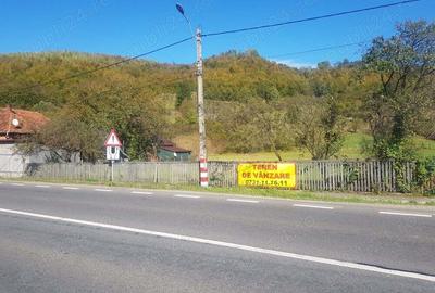 Teren de 4500 mp, în Ciucea - 6