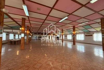 Spa?iu comercial de INCHIRIAT 837 mp utili + 4.116 mp teren, Vin?u de Jos - 8