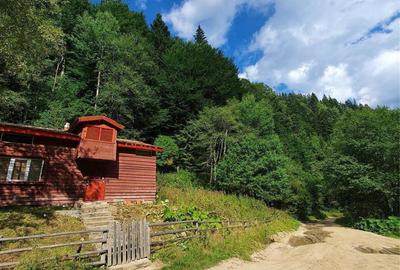Casă cu 3 camere în Central - 1