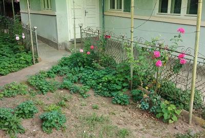 Casă cu 3 camere în Sâncraiu de Mureș - 1