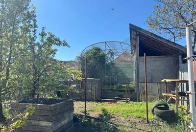 Casă cu 4 camere cu Teren 1536 Mp în Variaș - 4