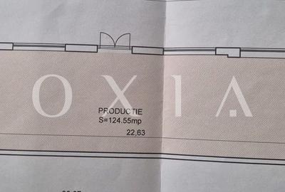 AX1157 Spatiu Industrial, B-dul 16 Decembrie, Activitati Productie - 9