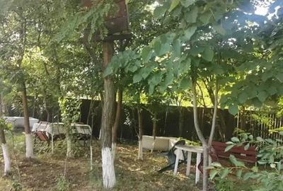 Teren in Contesti, Dambovita - 27