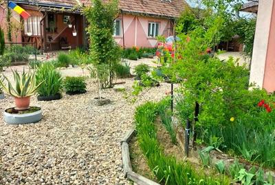 Casă cu Teren 6400 Mp în Băbășești - 8