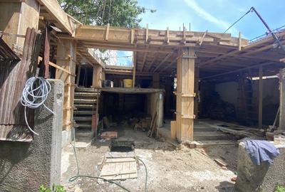 Sector 1, Podul Grand - 3