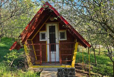 Casă cu 2 camere în Ațintiș - 5