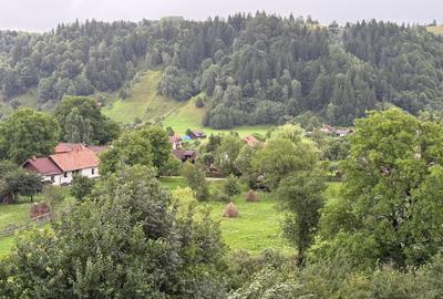 Casă cu 7 camere cu Teren 1300 Mp în Central