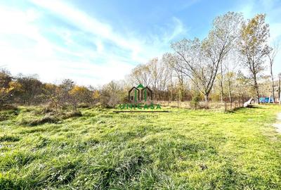 Teren Dem Radulescu 1092mp - 1