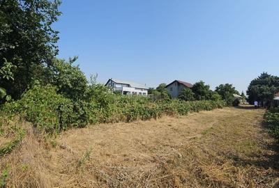 Vanzare teren Clinceni strada Principala - 6