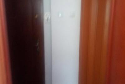 Apartament cu 2 camere semidecomandat în Berceni - 8