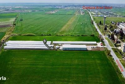 Spațiu comercial, de 10,000 mp, în Horia - 1