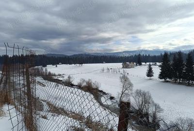 Casă cu 3 camere cu Teren 3900 Mp în Poiana Stampei - 4