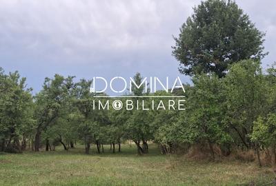 Casă cu 2 camere în Bălcești - 6