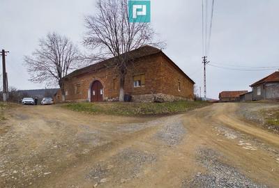 Reziden?a de vis pe Valea Mure?ului la Lala?in? - 1