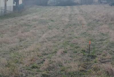 Spațiu comercial, în Sălicea - 4