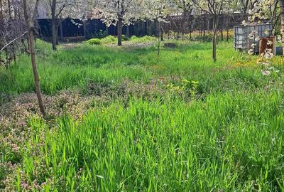 Zero comision!!! Zona Lunei, teren suprafa?a 827 mp, front stradal 16 metri, pre? 300 euro mp Zero comision!!! Zona Lunei, teren suprafa?a 827 mp, front stradal 16 metri, pre? 300 euro mp - 2