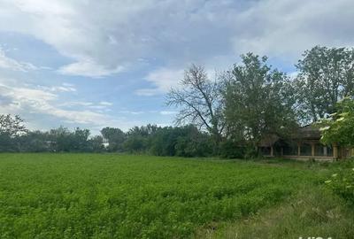 Teren de 1200 mp, în Vărăști - 1