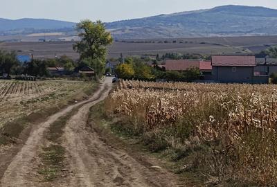 Teren de 500 mp, în Voinești