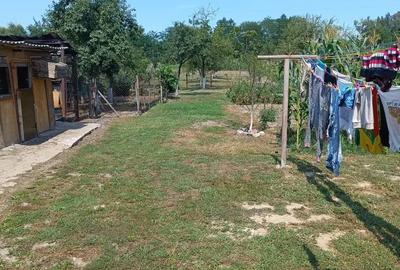 Vand sau schimb casa cu apartament in Alesd - 2