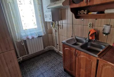 Apartament cu 2 camere în Vulcan - 7