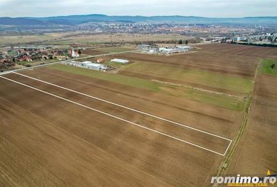 FILM! Teren intravilan 7.850 mp, Chilieni, Sfantu Gheorghe - 1