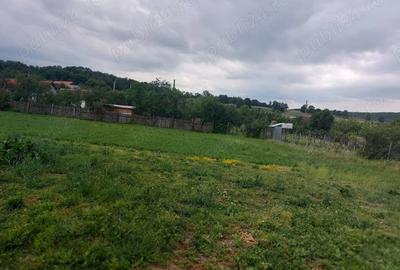 Teren în Erghevița - 5