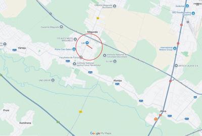 Vânzare teren 6000 mp în orașul Măgurele - 4