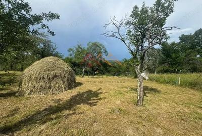 Teren 2037 mp, 17 ml deschidere, utilitati in zona, vedere panoramica - 4