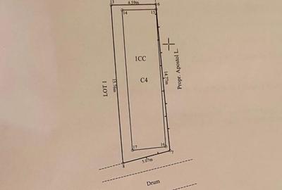 Casa zona Paun, 100 m teren, langa padure - 2