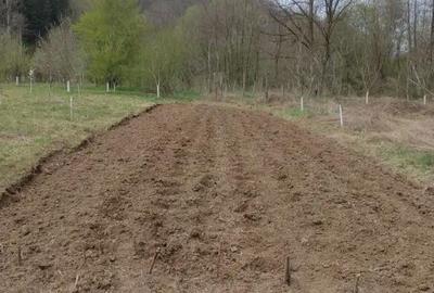 Teren de 3100 mp, în Boz - 5