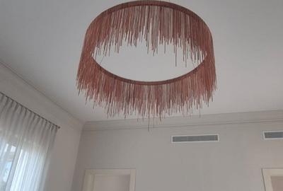 Proprietate deosebita Iancu Nicolae - 30