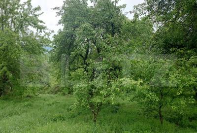 Teren intravilan Cucuteni - 2