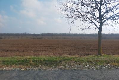 Teren Construcții intravilan de 600 mp, în Est - 3