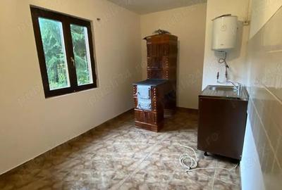 Inchiriem Cabana la munte, Plaiul Foii, Zarnesti, Brasov - 5