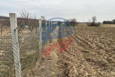 Teren de 935 mp, în Brădești - 2