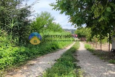 Teren intravilan com. Alexandru cel Bun- Viisoara - 7