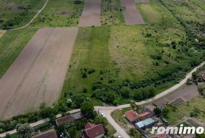 Teren extravilan 5000 mp Urseni, Timi? - 2